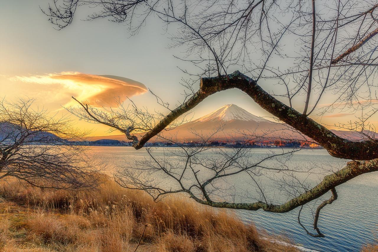 Yamabiko Lake Saiko 富士河口湖 外观 照片